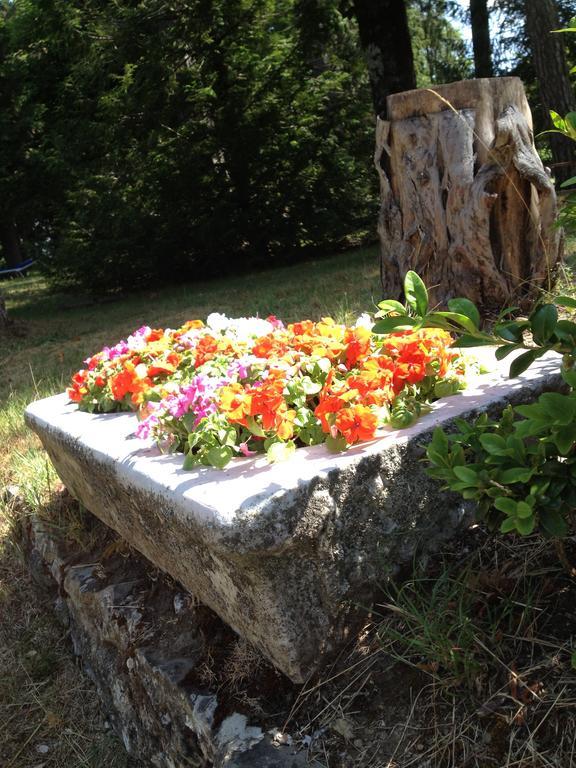 Grand Hotel Vallombrosa Saltino Bagian luar foto